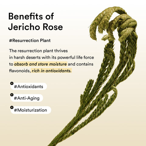 Abib Jericho Rose Eye Patch - texture