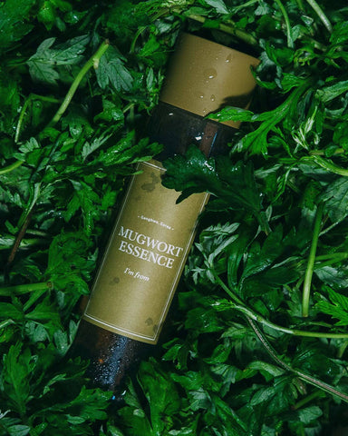 I'm From Mugwort Essence - detail